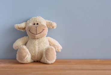 Toys 3 Years Model